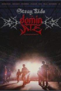 دانلود فيلم Stray Kids: The dominATE Experience 2026 | کودکان ولگرد : تجربه غالب