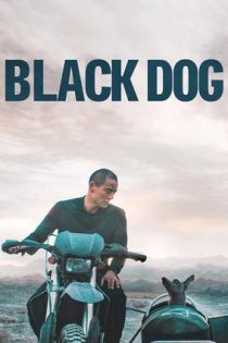 دانلود فيلم Black Dog 2024 | سگ سیاه